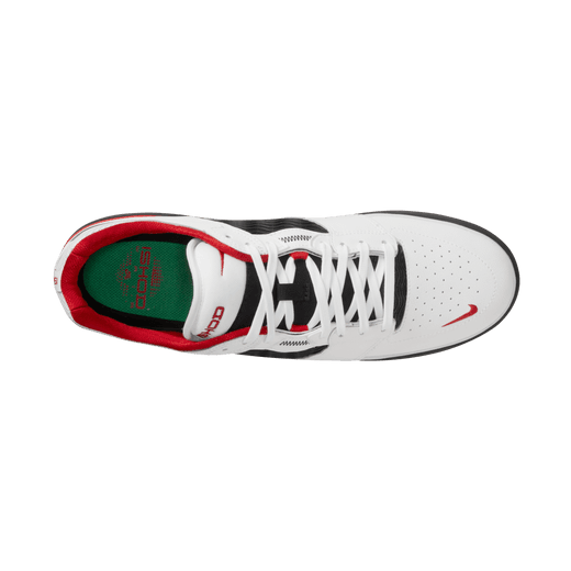 Zapatillas Nike SB Ishod Premium